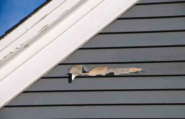 Best Demolition Debris Removal  in Brooklyn, NY